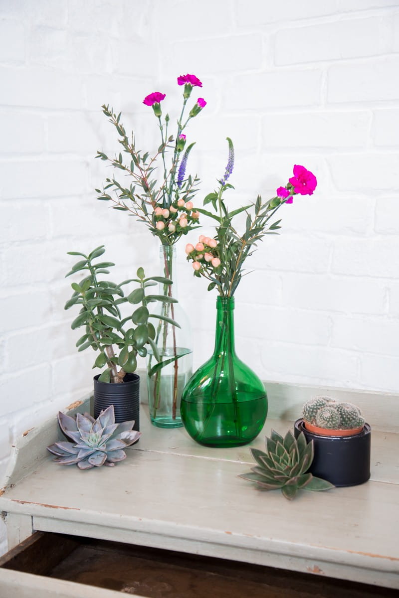 Vases of flowers, succulents and potted cacti