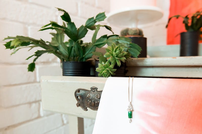 Pots of succulents in drawer of dresser