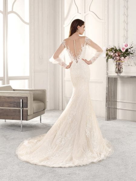 Back of 857 Wedding Dress from the Demetrios Starlight 2019 Bridal Collection