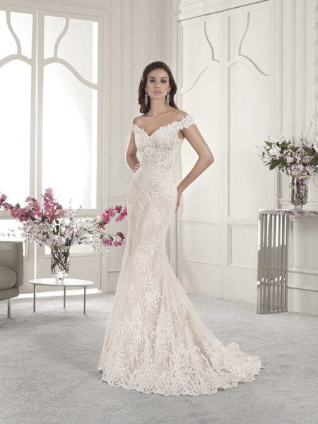 858 Wedding Dress from the Demetrios Starlight 2019 Bridal Collection