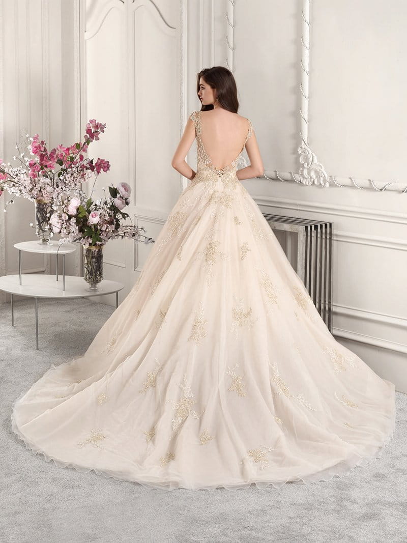 Back of 884 Wedding Dress from the Demetrios Starlight 2019 Bridal Collection