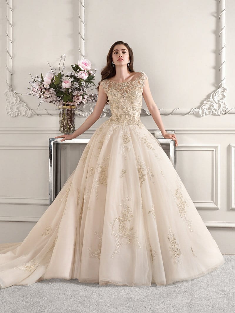 884 Wedding Dress from the Demetrios Starlight 2019 Bridal Collection