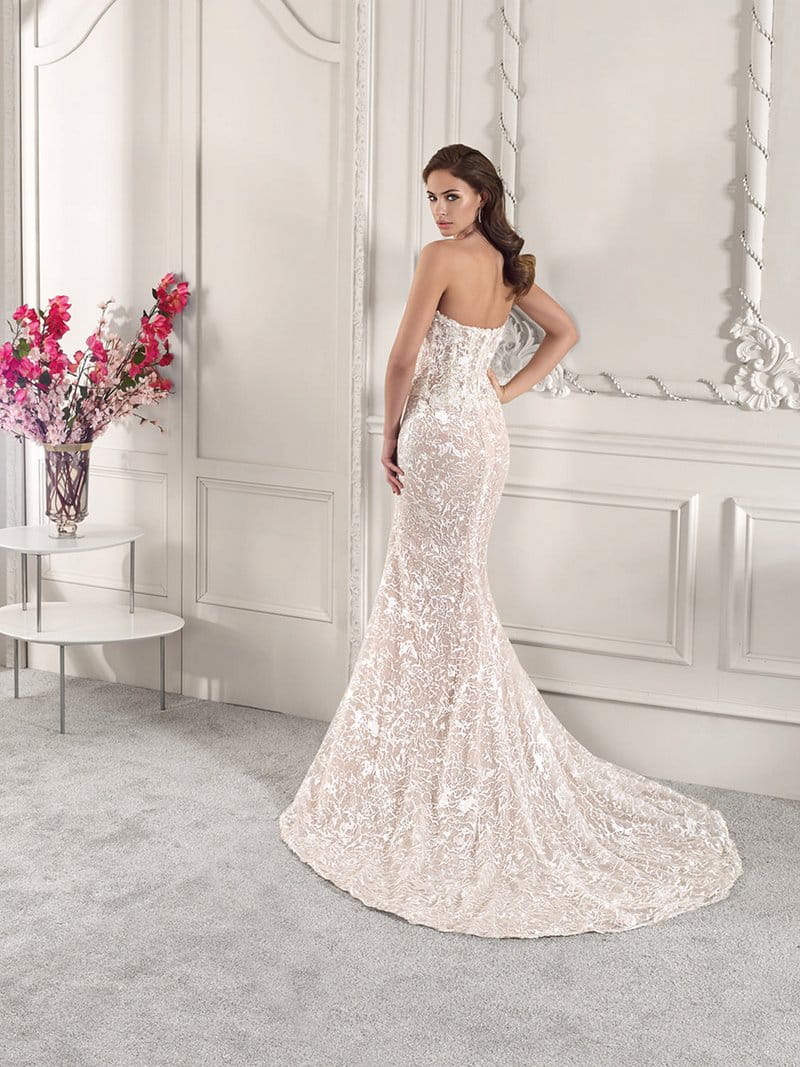 Back of 887 Wedding Dress from the Demetrios Starlight 2019 Bridal Collection