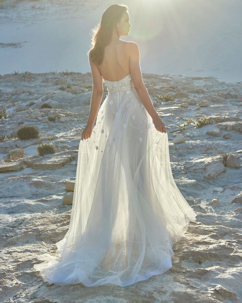 Back of Erika Wedding Dress from the Elbeth Gillis Luminescence 2019 Bridal Collection