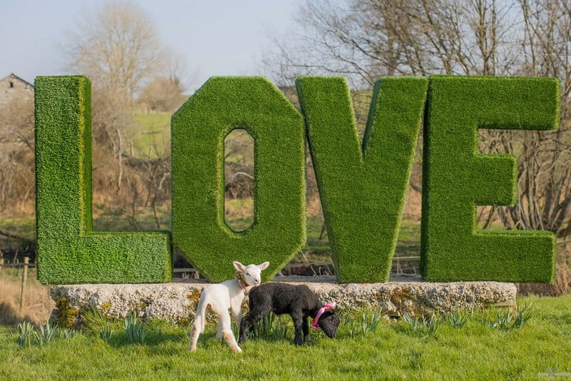 Large hedge LOVE letters