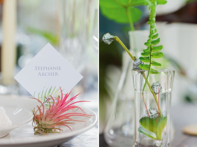 Tropical foliage and plants on wedding table