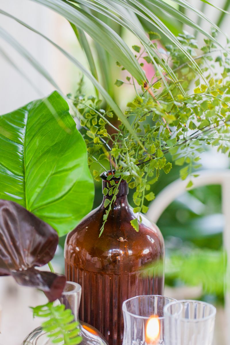 Tropical leaves in brown bottle