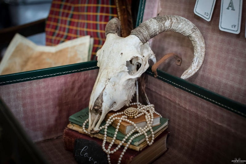 Animal skull and books in old suitcase