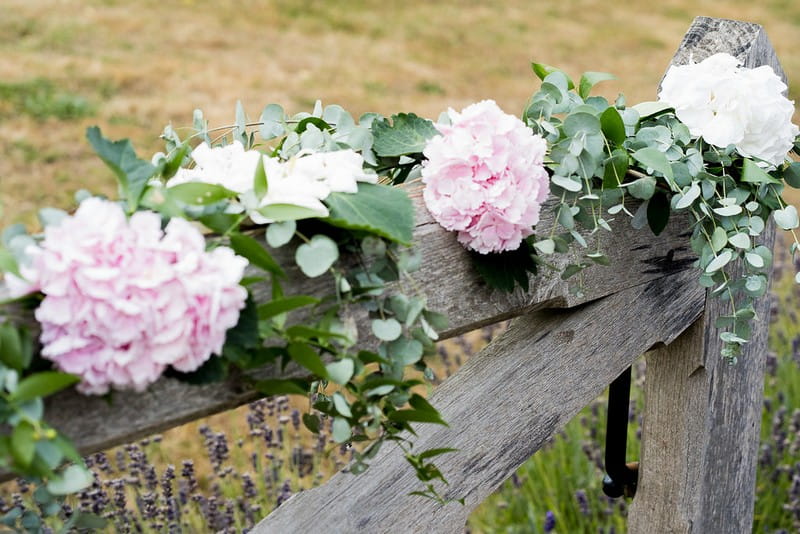 Garden flowers on gate