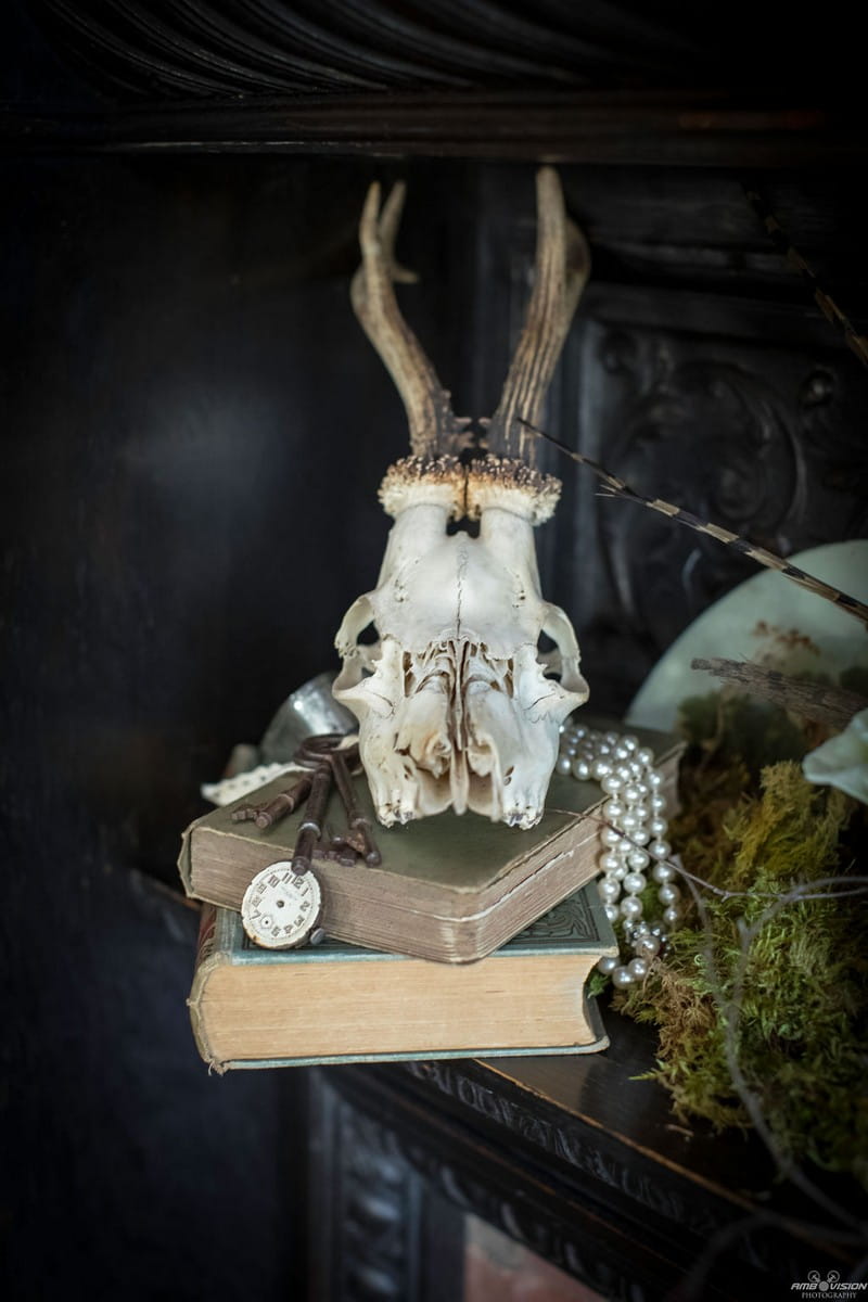 Animal skull on old books