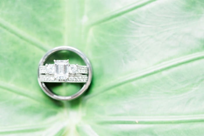 Wedding rings on tropical palm leaf