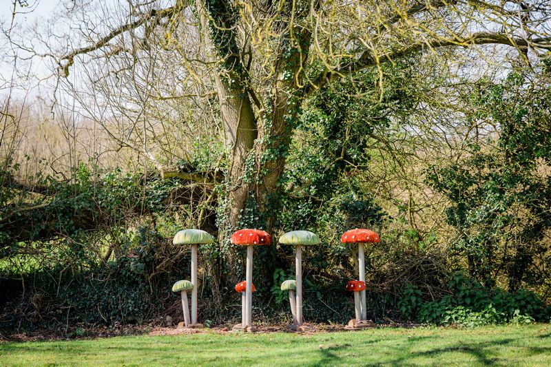 Giant Toadstools from The Prop Factory