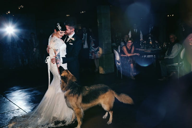 Dog with bride and groom on dance floor