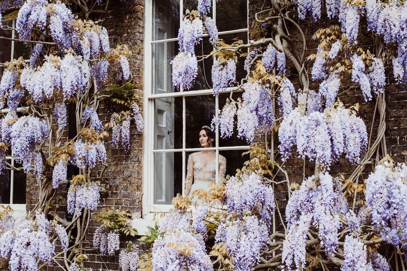 Bride looking out of window surrounded in wisteria