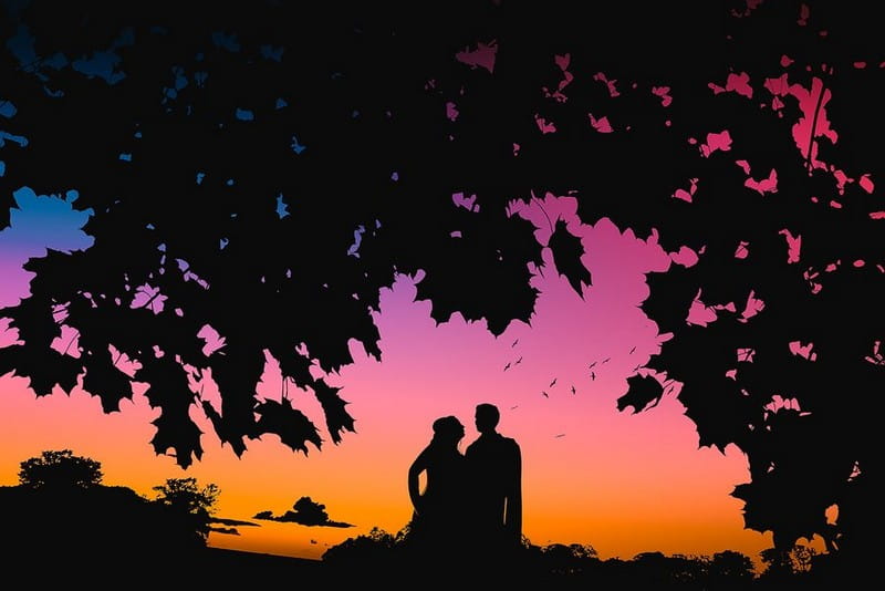Silhouette of bride and groom surrounded by trees with colourful sky - Picture by Richards & Co Photography