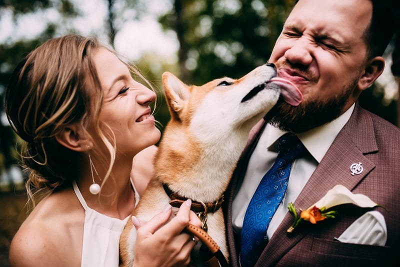 Bride smiling as dog licks groom's face - Picture by Diana Bondars Photography