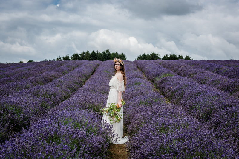 Bride standing in Cotswold Lavender Field