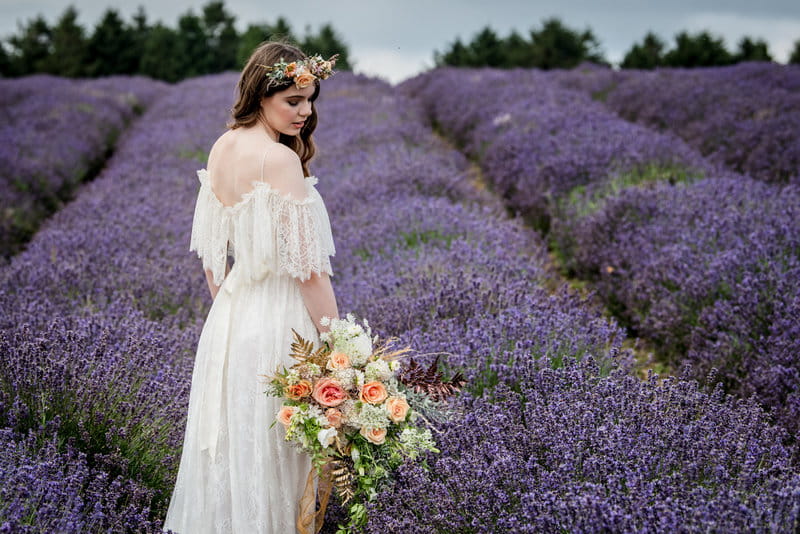 Bride walking through field of lavender