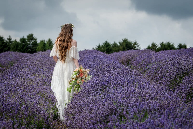 Bride walking through Cotswold Lavender Field