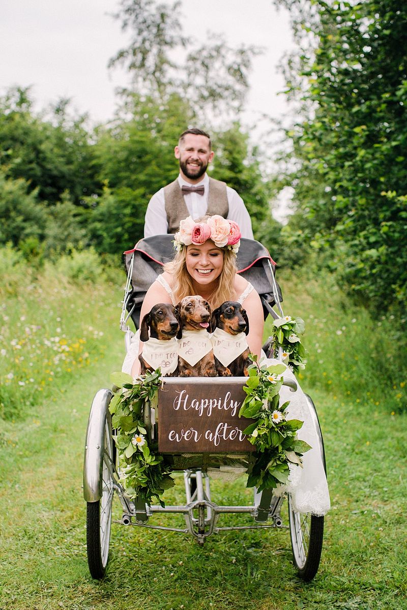 Bride sitting in reverse trike with three small dogs - Picture by Vicky Plum Photography