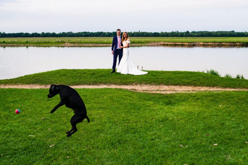 Dog jumping as bride and groom pose by lake - Picture by Jonny Barratt Photography