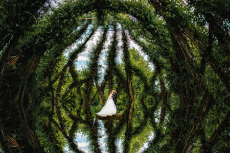 Bride and groom standing in front of reflected image of branches - Picture by Pollok Pictures