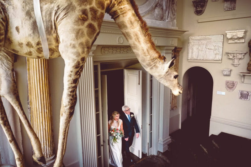 Bride walking into wedding ceremony at Aynhoe Park with giraffe hanging from ceiling - Picture by Andrew Billington Photography