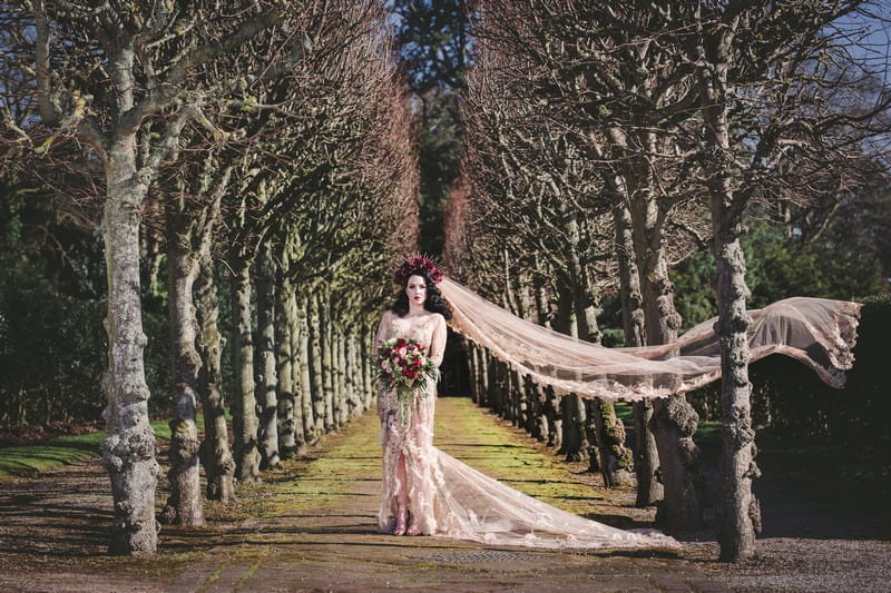 Bride standing between rows of trees