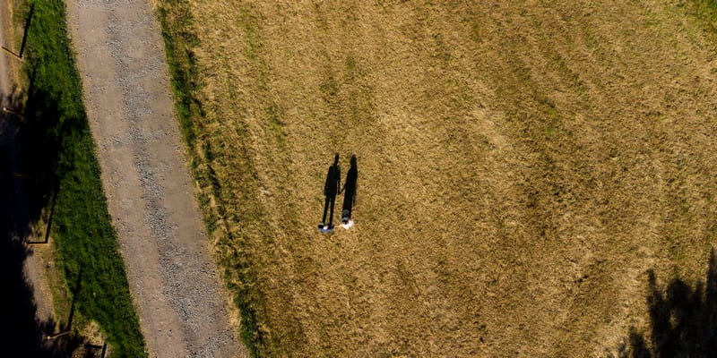 Picture taken by drone of bride and groom's shadows on field - Picture by Matt Selby Photography