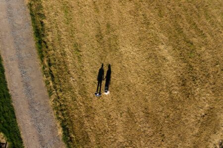 Picture taken by drone of bride and groom's shadows on field - Picture by Matt Selby Photography
