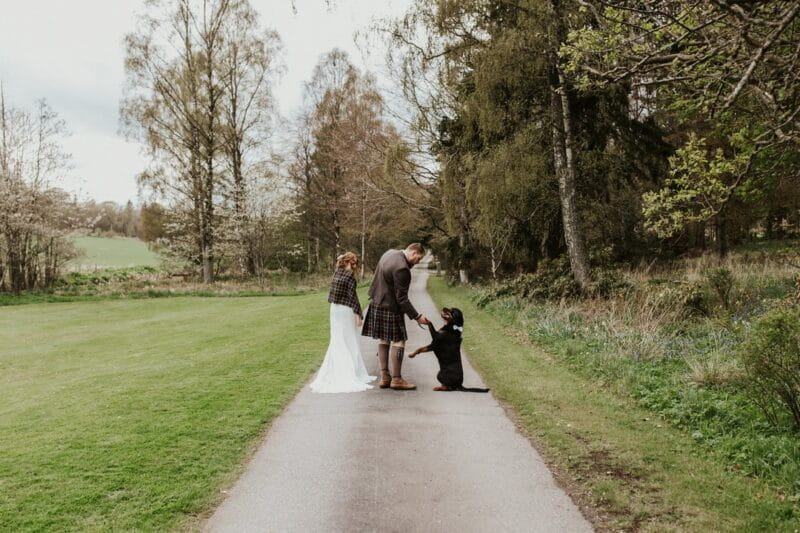 Bride and groom on path with dog giving groom his paw - Picture by Rebecca Rose Noller Photography