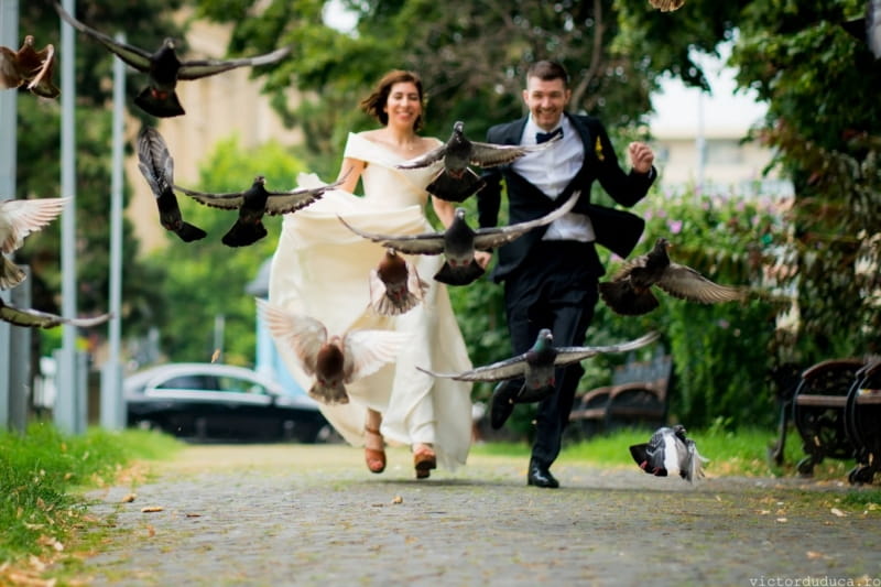 Lots of birds flying into the air as bride and groom run towards them - Picture by Victor Duduca