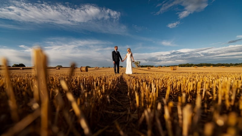 Bride and groom holding hands in a harvested cornfield - Picture by Matt Selby Photography